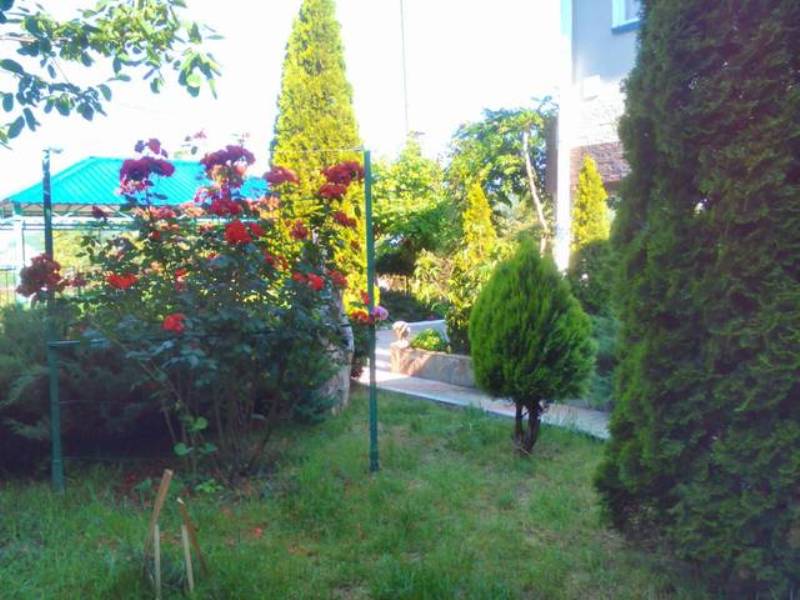 "Ласточкино гнездо" гостевой дом в Лермонтово, ул. Солнечная, 8 - фото 1