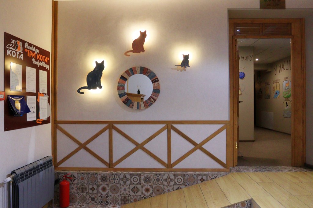 "Три кота" мини-отель в Великом Новгороде - фото 14