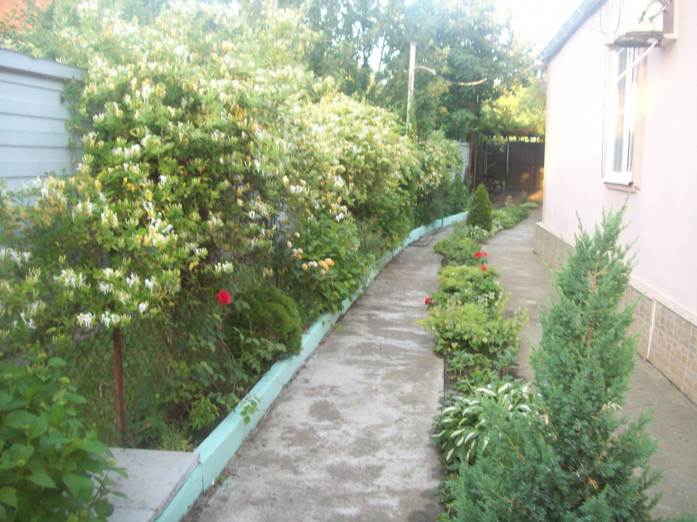 "Зелёный дворик" дом под-ключ в Тульском - фото 8