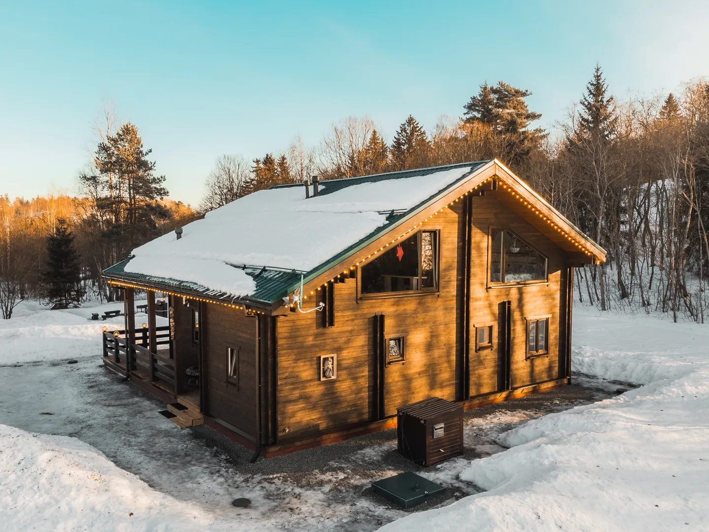 В окружении леса