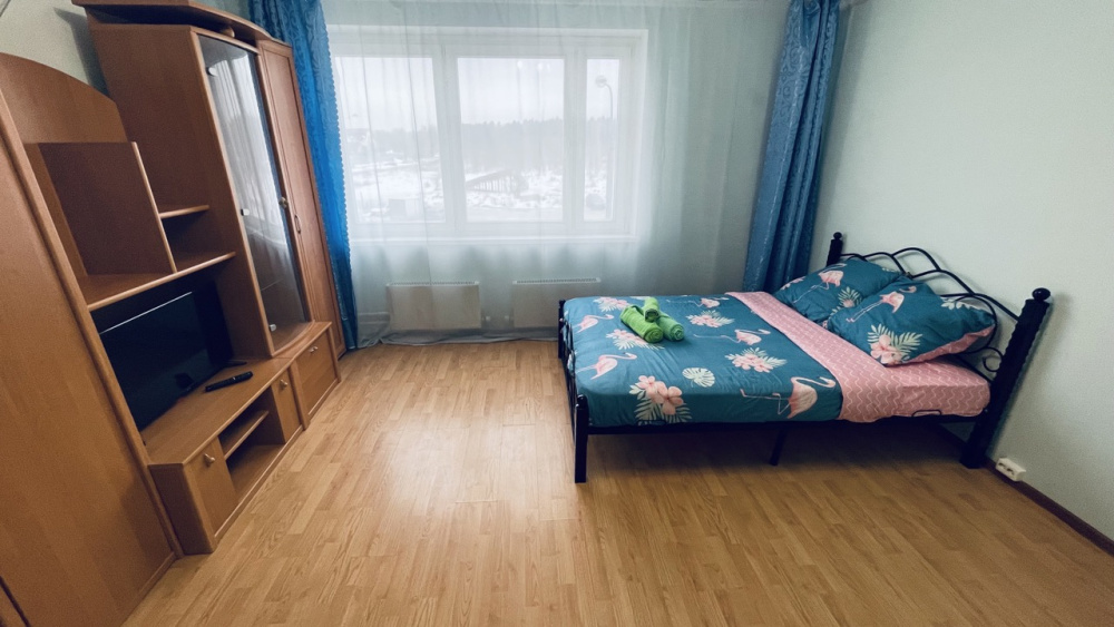 1-комнатная квартира Дмитриева 4 в Балашихе - фото 4