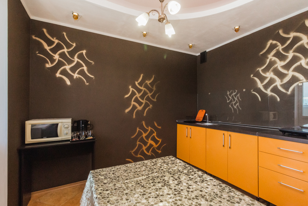 1-комнатная квартира Горский 82 в Новосибирске - фото 6