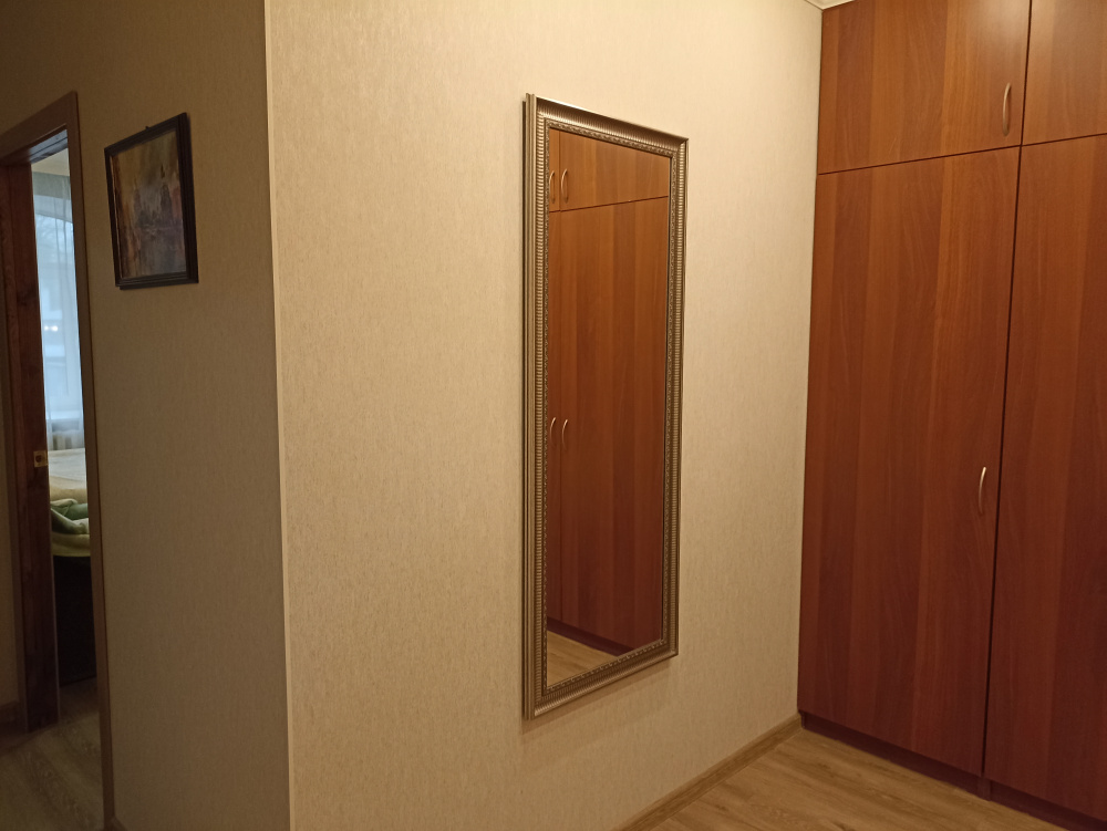 1-комнатная квартира Черняховского 67 в Санкт-Петербурге - фото 11