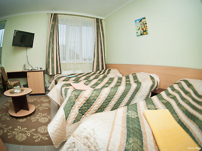 "Лира" отель в Наро-Фоминске - фото 2
