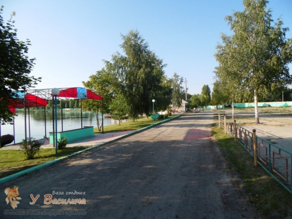 "У Василича" база отдыха в д. Буда (Брянск) - фото 3