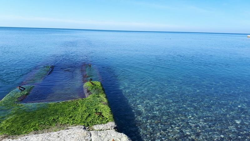 "Райский уголок" гостевой дом в Дагомысе - фото 2