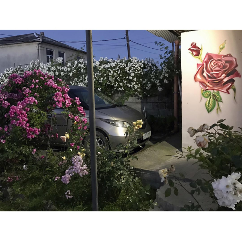 "Роза" гостевой дом в Сухуме - фото 3