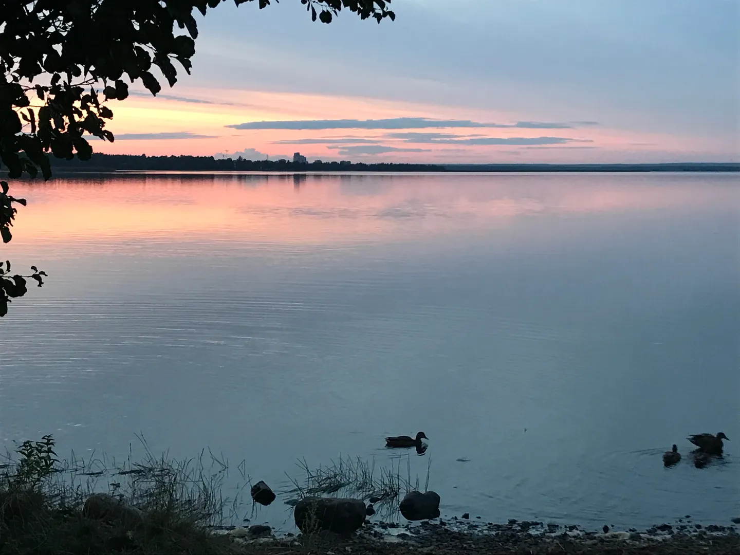 "В самом живописном районе" 1-комнатная квартира в Сестрорецке - фото 9