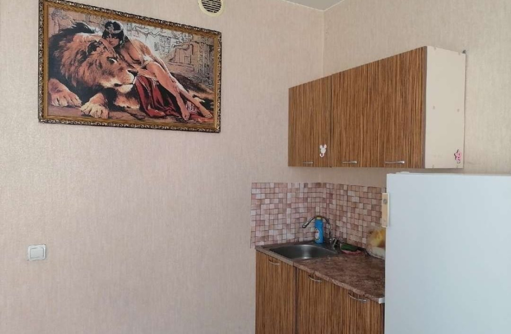 "Пушкина 3" 1-комнатная квартира в Абакане - фото 7