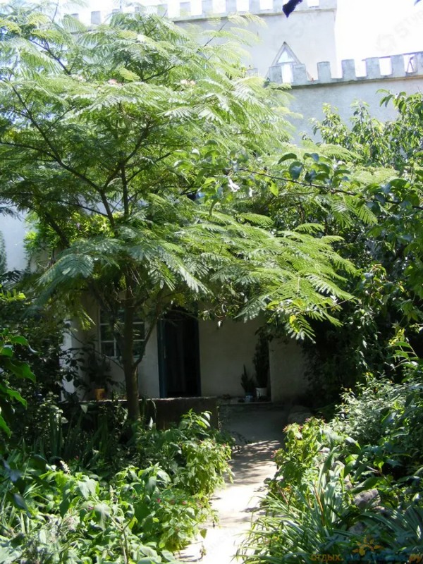 "Дом у моря" частное домовладение в Сенном - фото 5