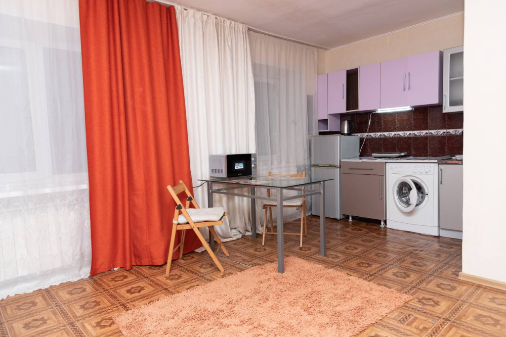 1-комнатная квартира Дубровинского 62 в Красноярске - фото 3