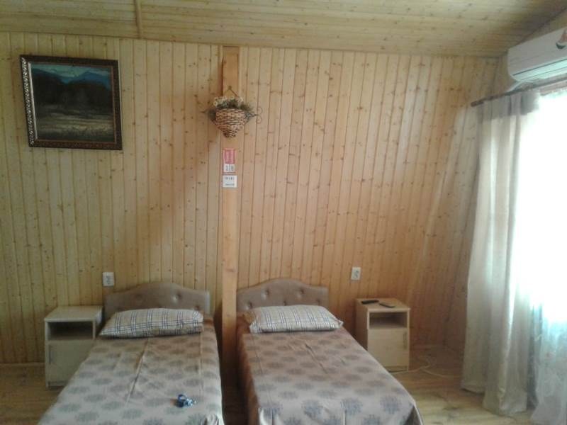"У Ирины" мини-гостиница в Новом Афоне - фото 2