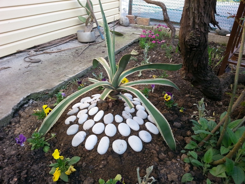 "Орхидея" гостевой дом в Гаграх, ул. Кольцевая, 7 - фото 2