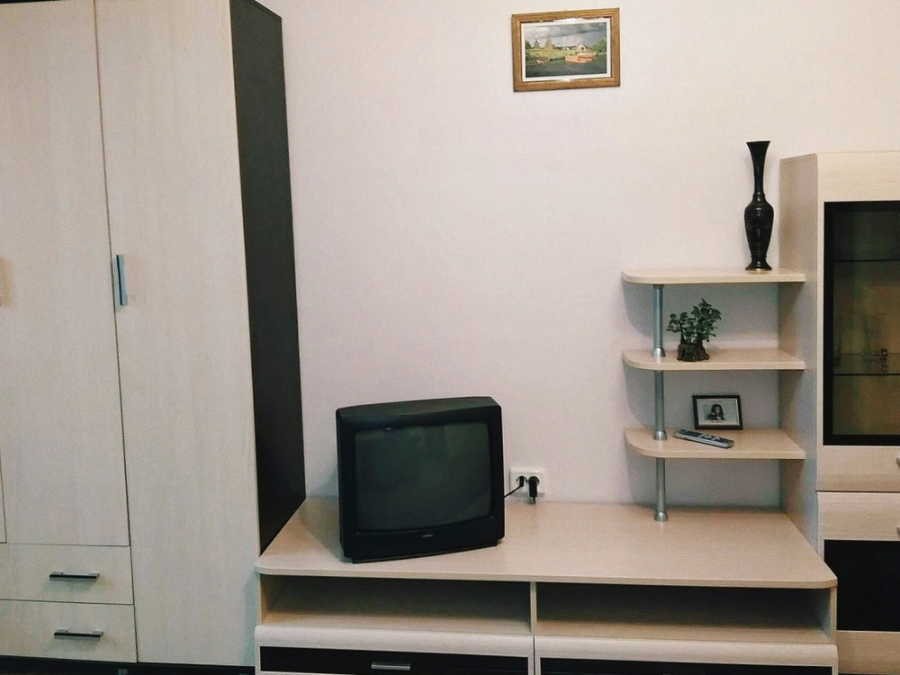 1-комнатная квартира Стачки 186 в Ростове-на-Дону - фото 3