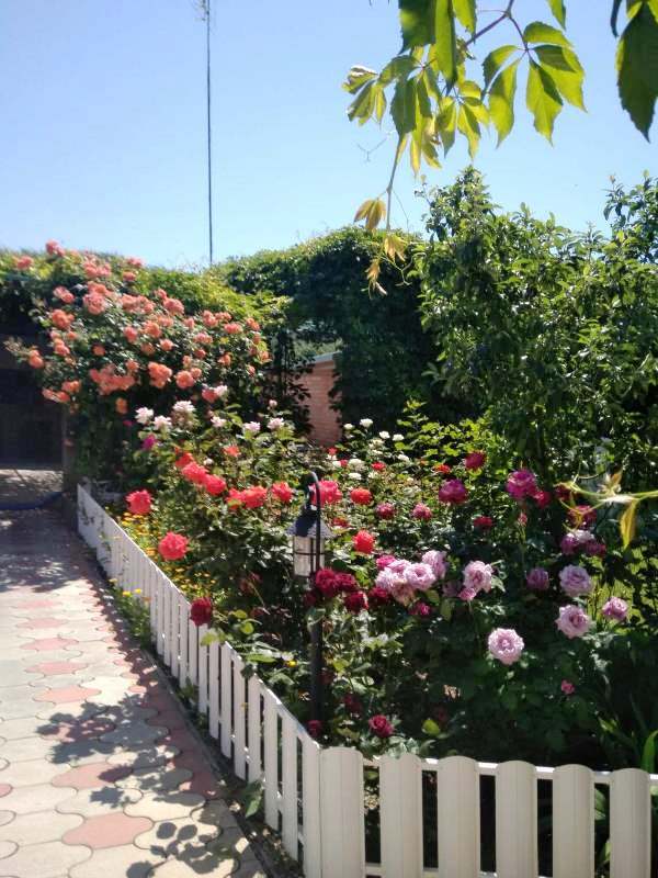 "Анастасия" гостевой дом в Должанской - фото 13