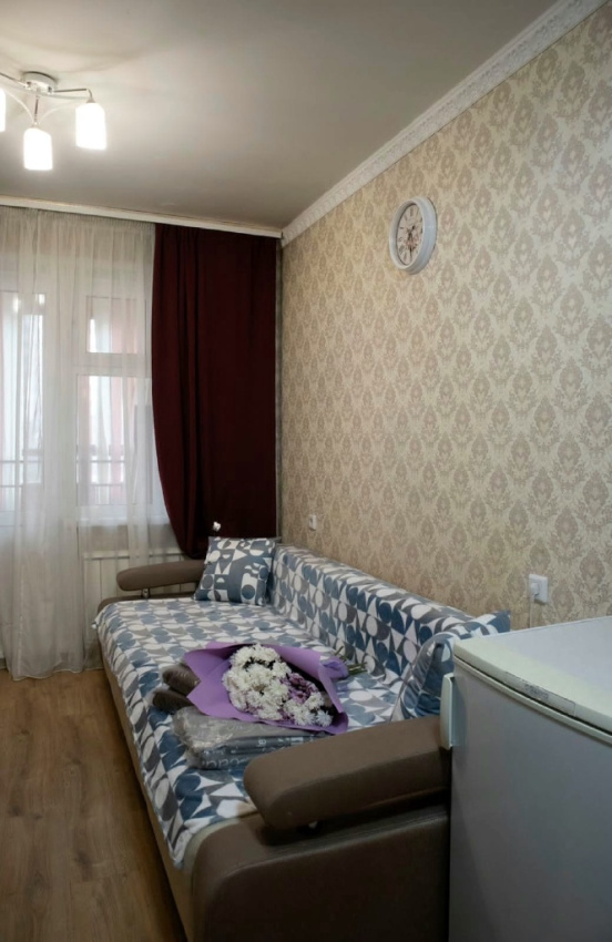 1-комнатная квартира Вильского 34 в Красноярске - фото 2
