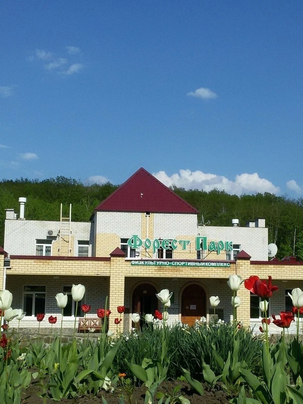 "Forest park" база отдыха в Задонске - фото 1