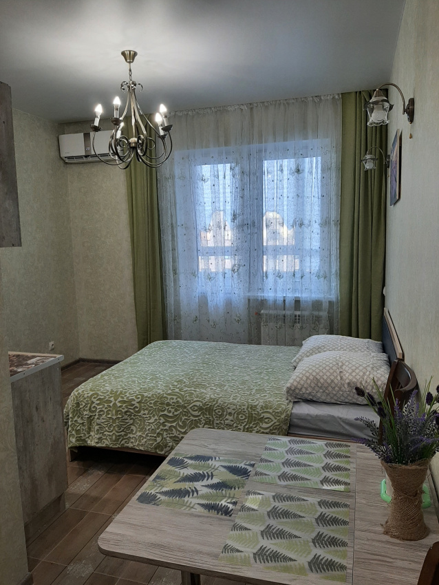 1-комнатная квартира Ленина 480/1 кв 170 в Ставрополе - фото 1