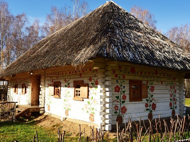 "Украина" гостевой дом в д. Петрово (Балабаново) - фото 2