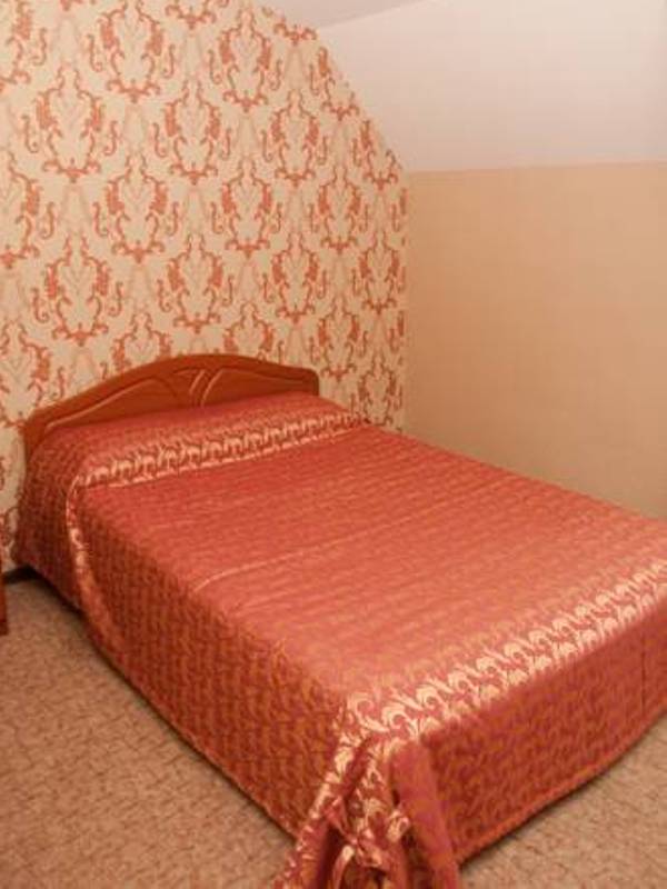 "Колибри" мини-отель в Абакане - фото 2