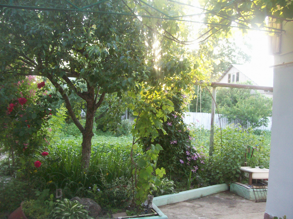 "Зелёный дворик" дом под-ключ в Тульском - фото 4