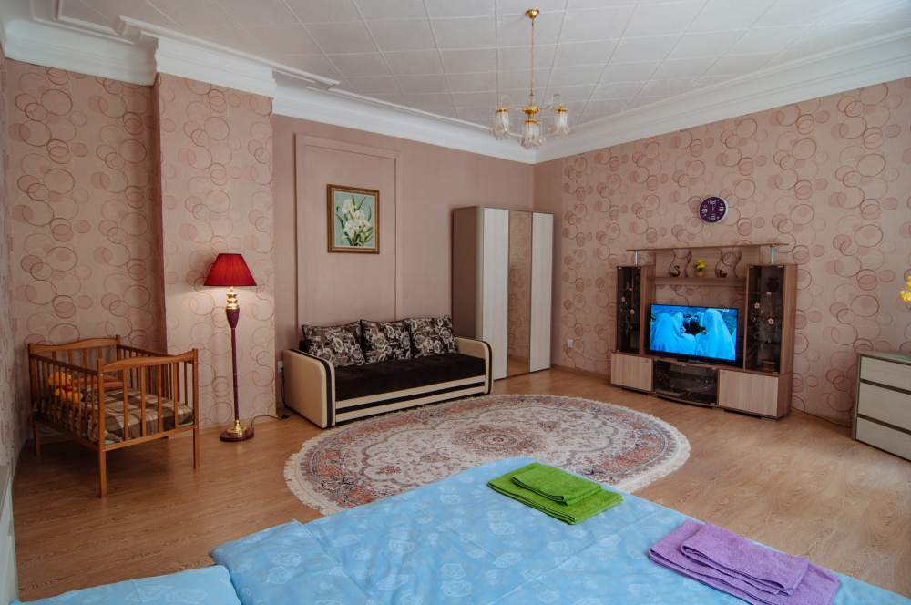 1-комнатная квартира Желябова 19 в Кисловодске - фото 5