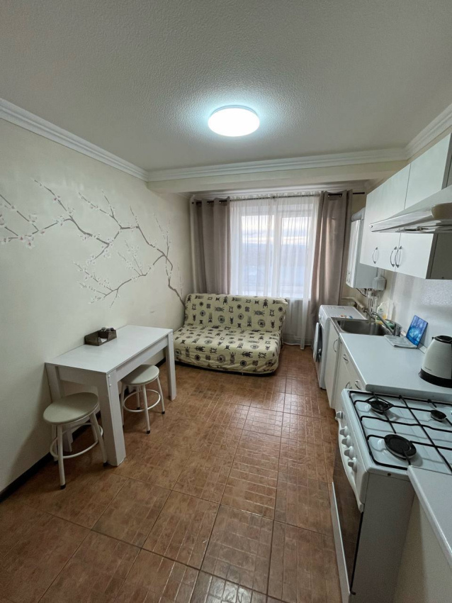 "С видом на Эльбрус" 1-комнатная квартира в Пятигорске - фото 4