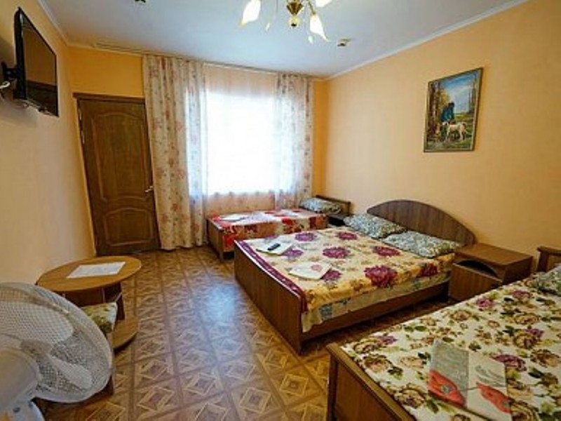 "Олеся" гостиница в Лазаревском - фото 39