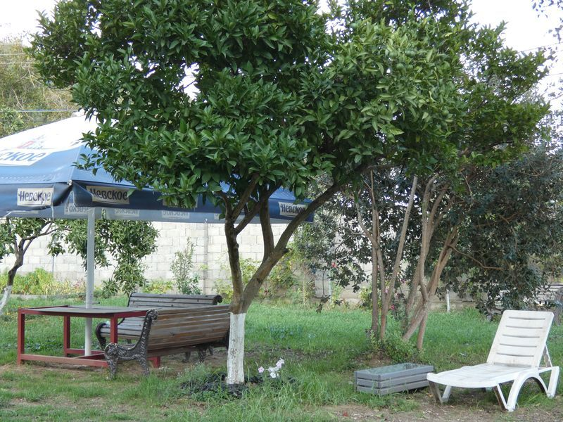 "Эко-парк" гостевой дом в п. Лдзаа (Пицунда) - фото 2