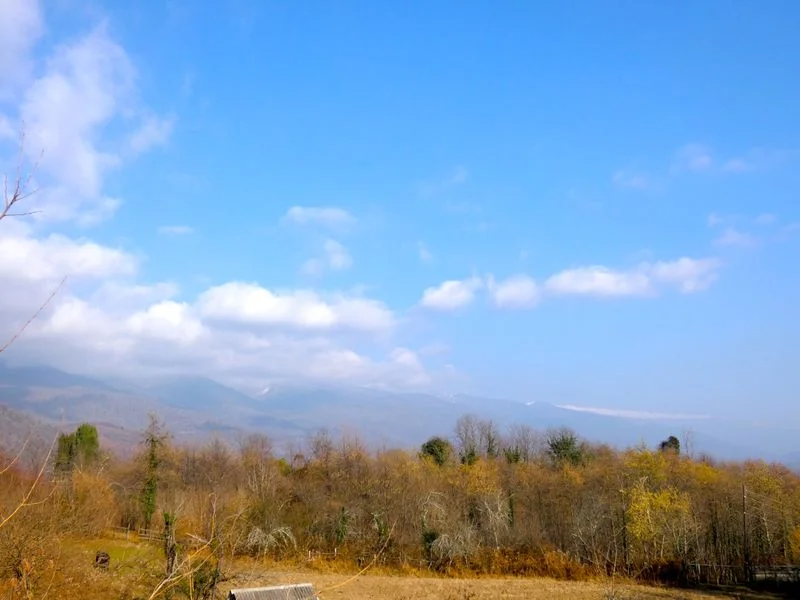 "Вид на зеленые горы" частный сектор в с. Блабырхуа (Гудаута) - фото 6