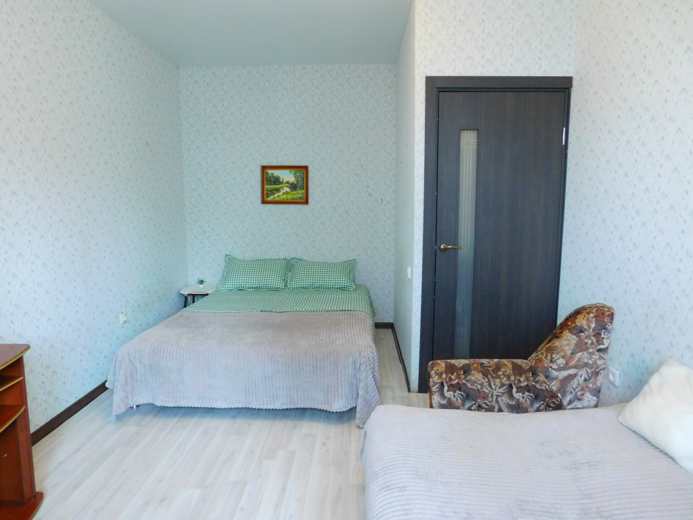 "Двуглавый Бигль" 1-комнатная квартира в п. Придорожный (Самара) - фото 2