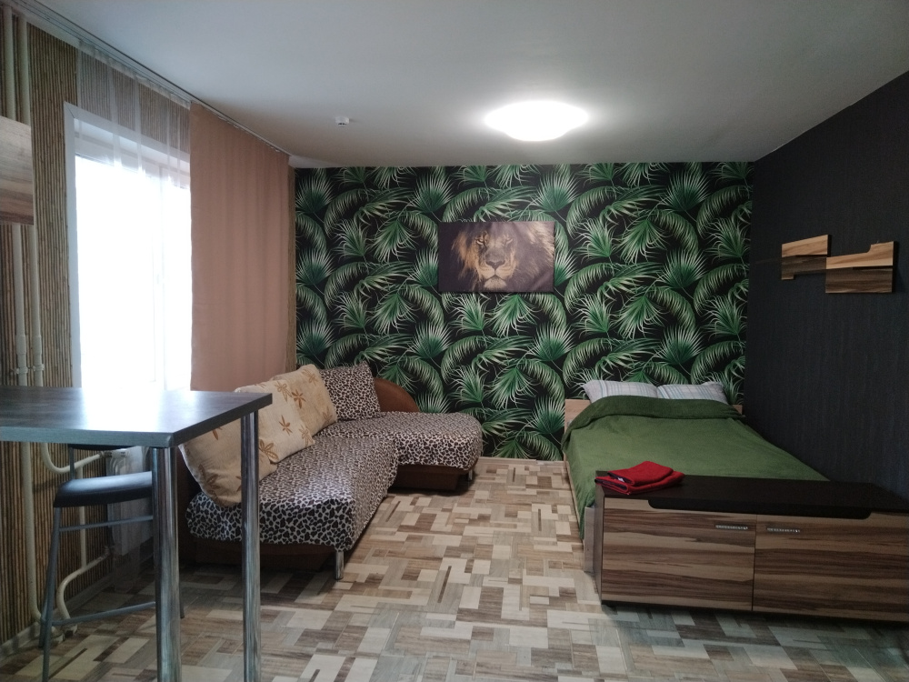 Квартира-студия Светлогорский 9 в Красноярске - фото 2