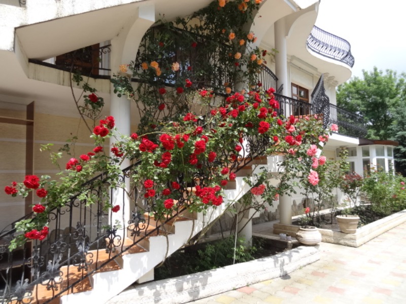 "Английская Роза" гостевой дом в Архипо-Осиповке, ул. Морская, 28 - фото 3