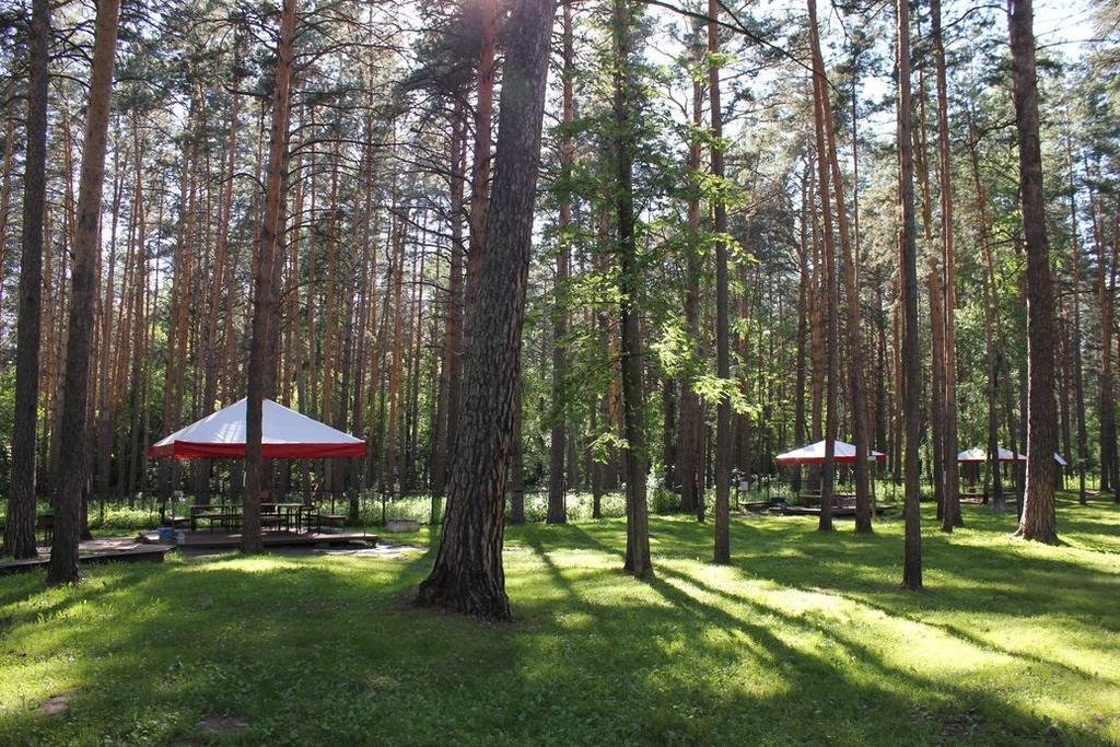 "Лесные дали" парк-отель в Барнауле - фото 6