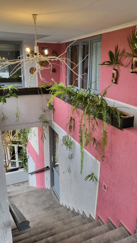 "Макс" гостевой дом в Сухуме - фото 16