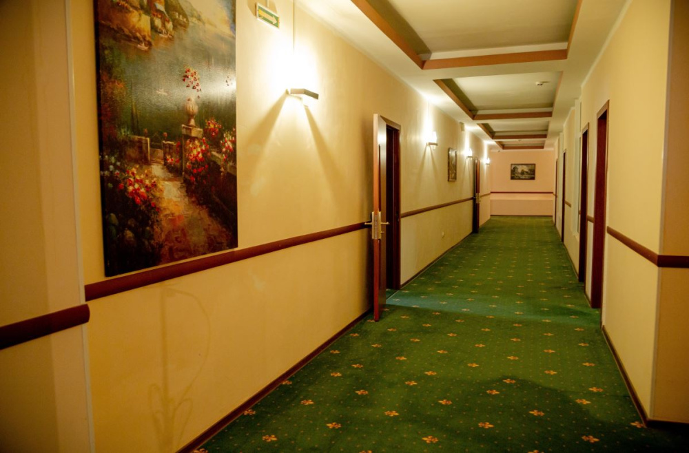 "Премьер" гостиница в Троицке - фото 6