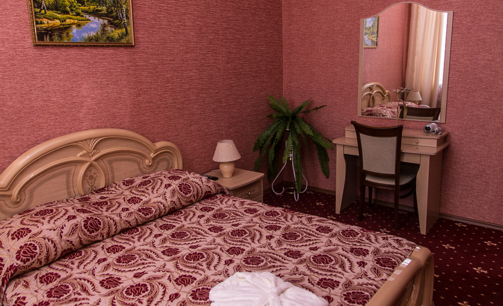"Левый берег" гостиница в Ульяновске - фото 11
