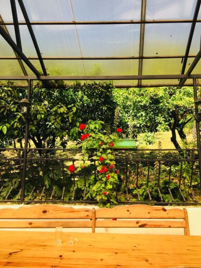 "Мандариновый сад" мини-гостиница в Гаграх - фото 17