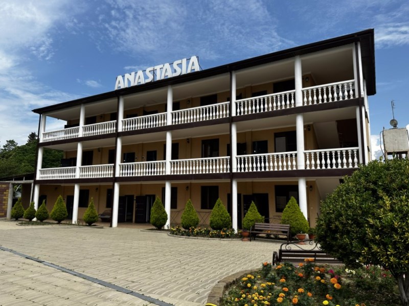 "Анастасия" гостевой дом в Гудауте - фото 2