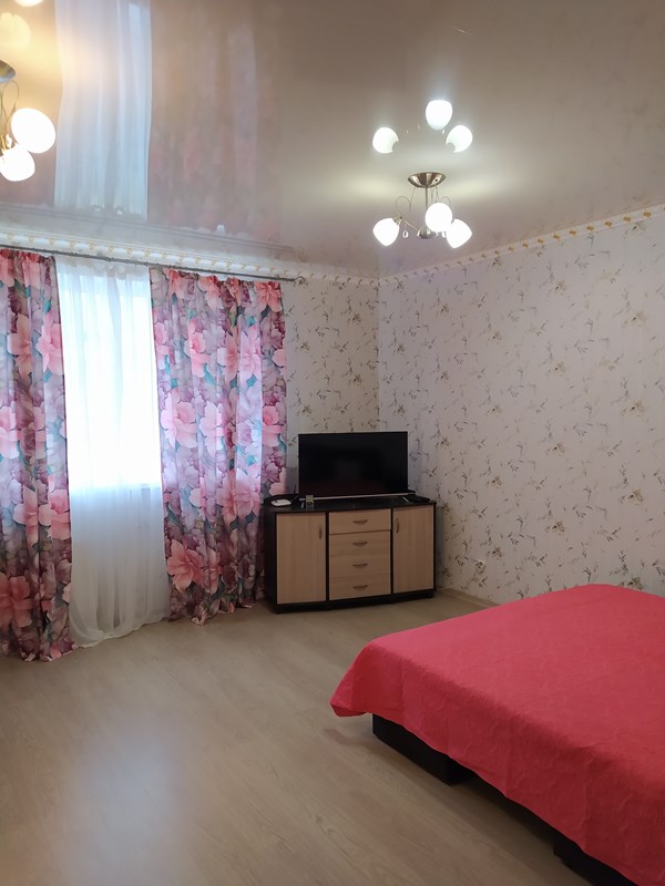 1-комнатная квартира Античный 12 в Севастополе - фото 10