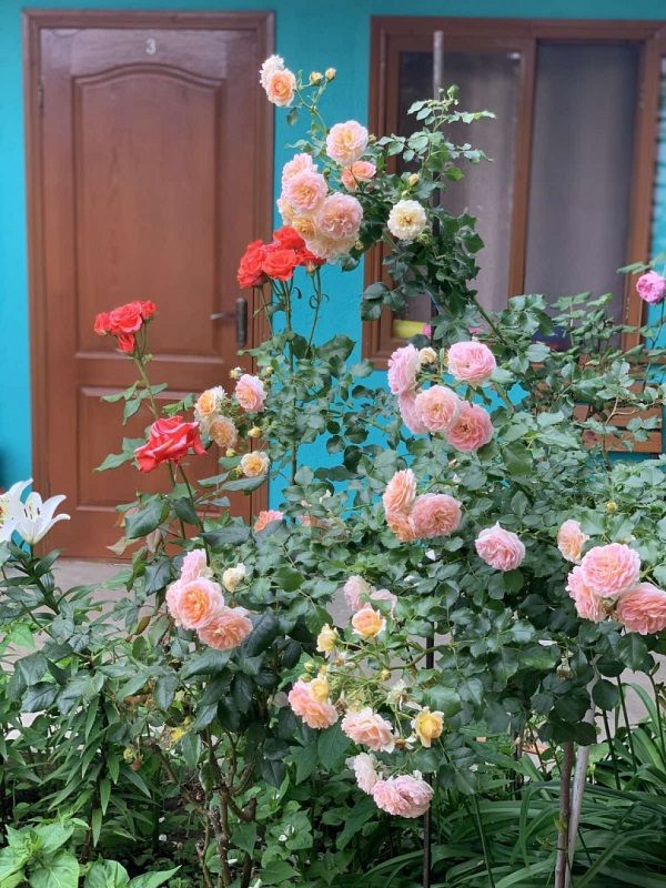 "Цветочек" гостевой дом в п. Николаевка - фото 15