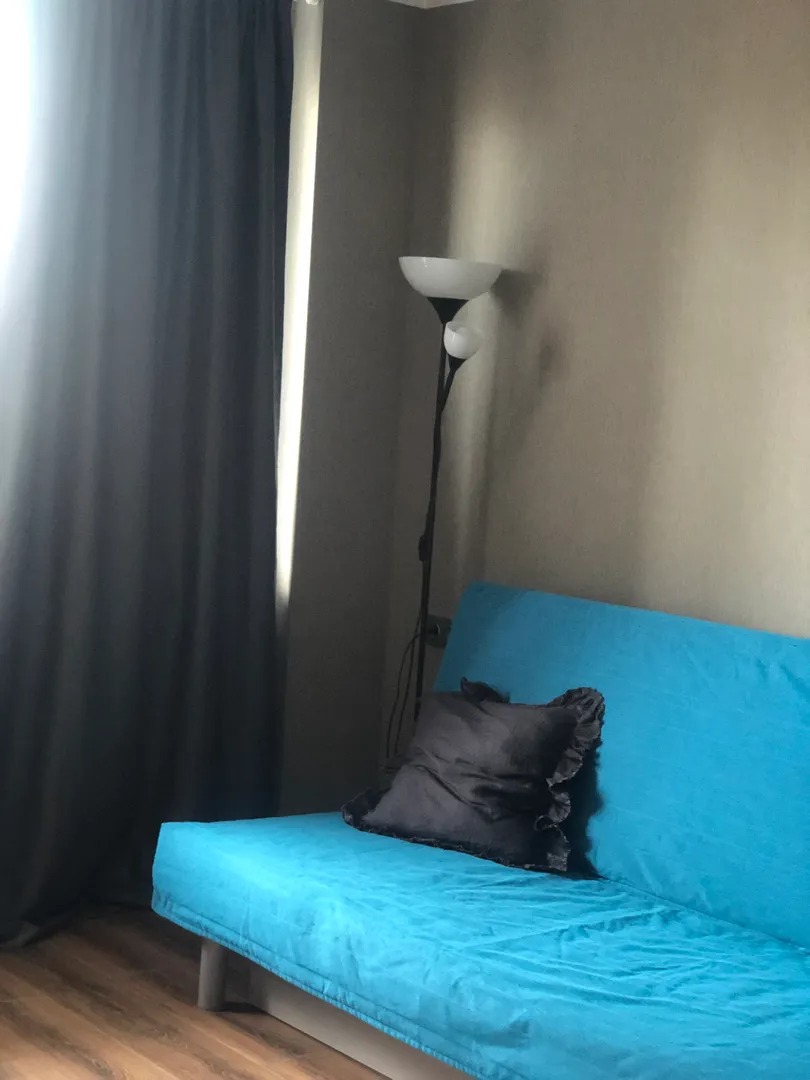 "Красивая и уютная для отдыха" квартира-студия в Шушарах - фото 1