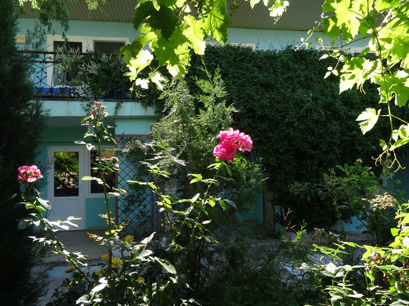 "Ласковый бриз" гостевой дом в Николаевке - фото 4