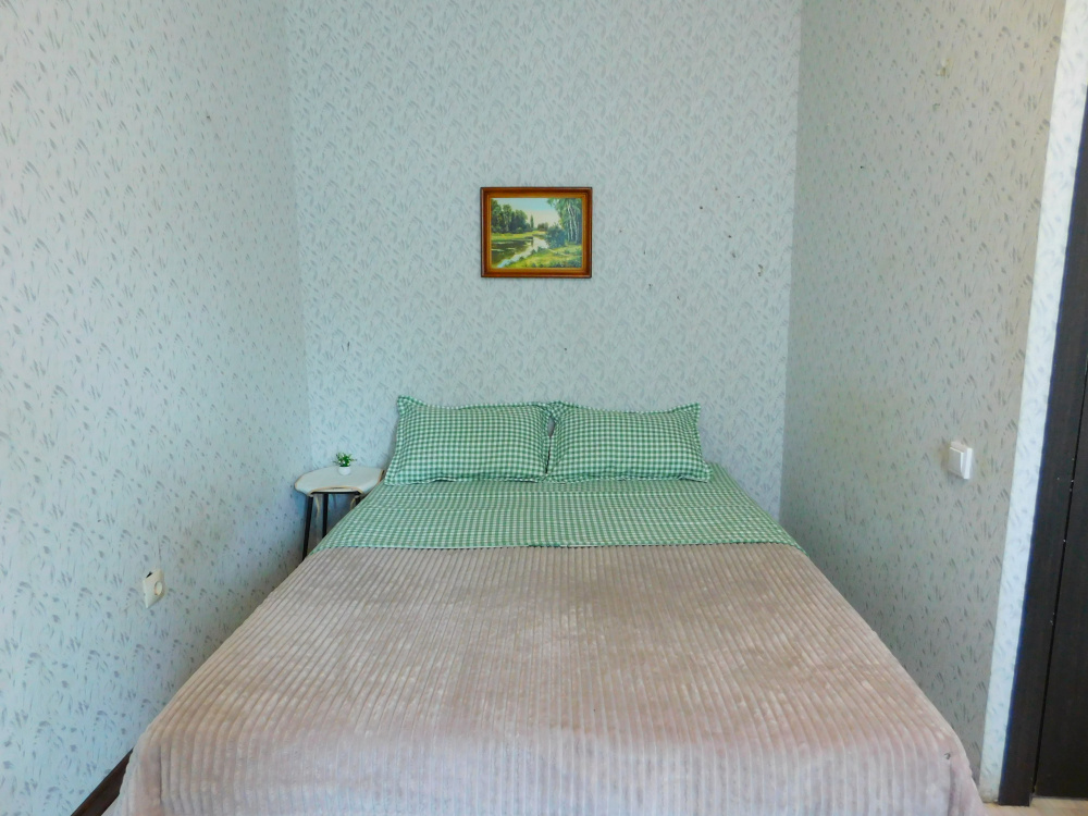 "Двуглавый Бигль" 1-комнатная квартира в п. Придорожный (Самара) - фото 5