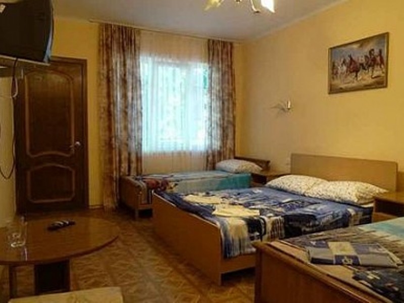 "Олеся" гостиница в Лазаревском - фото 41