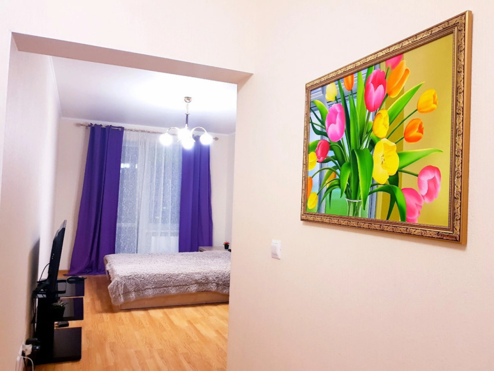 1-комнатная квартира Сибгата Хакима 44 в Казани - фото 7