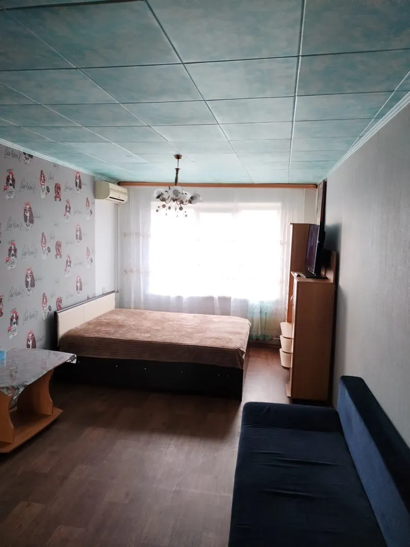 "Уютная после ремонта" 1-комнатная квартира в Лесозаводске - фото 6
