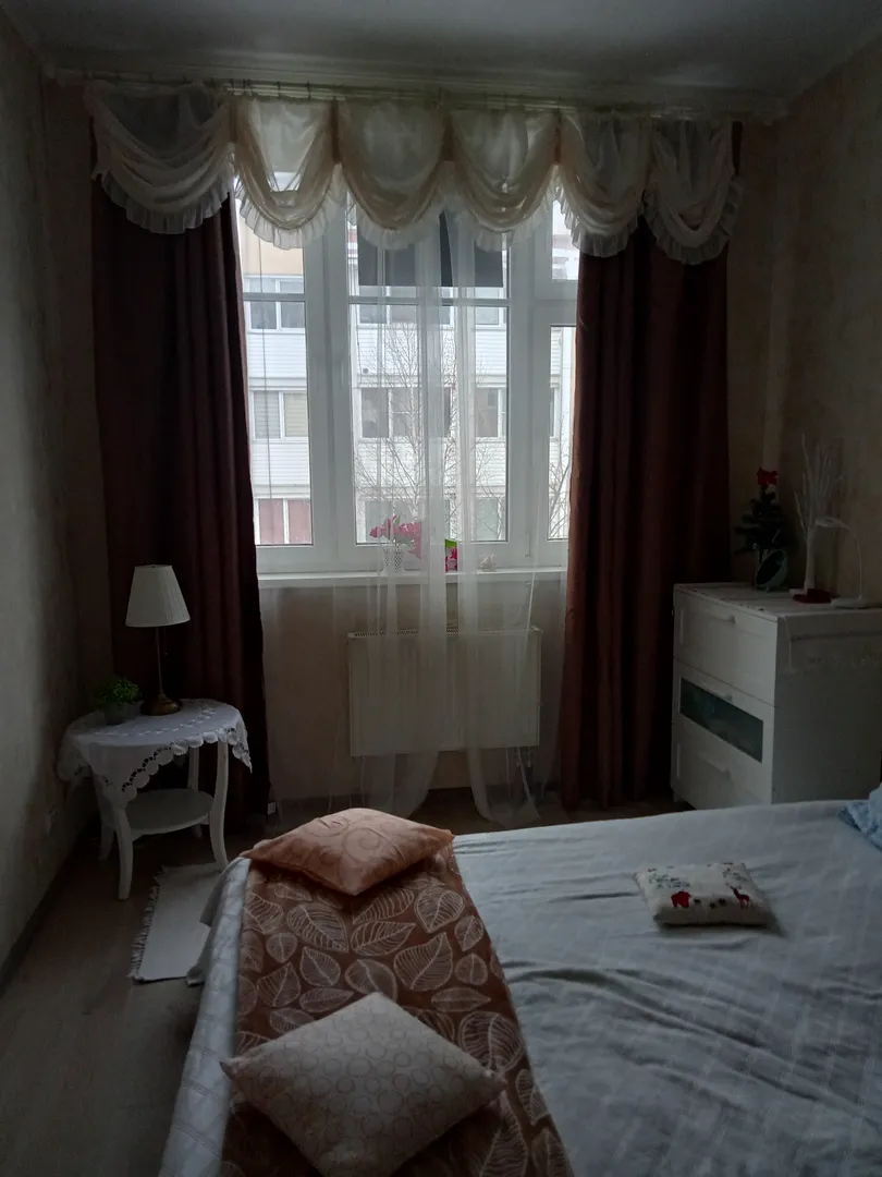 "У Разлива" 1-комнатная квартира в Сестрорецке - фото 3