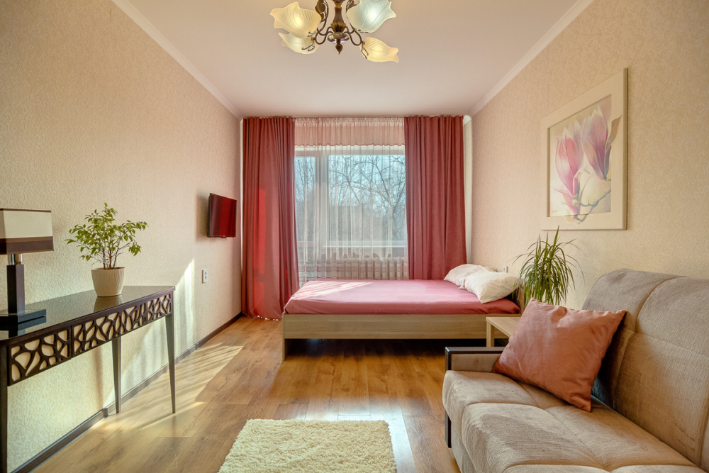 1-комнатная квартира Гайдара 41 в Калининграде - фото 2