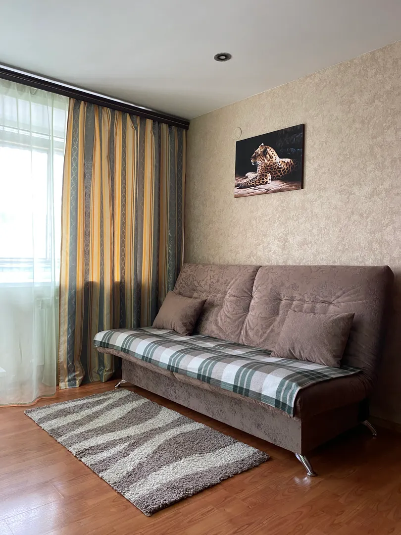 "С красивым видом" 1-комнатная квартира в Таштаголе - фото 2